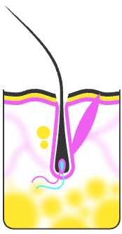 До процедуры